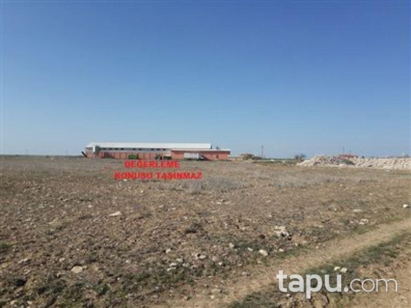 Nevşehir Kozaklı'da 7132m2 Tarla