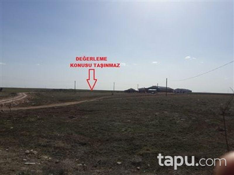 Nevşehir Kozaklı'da 7132m2 Tarla