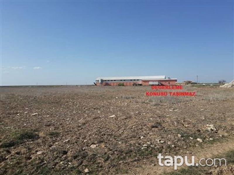 Nevşehir Kozaklı'da 7132m2 Tarla