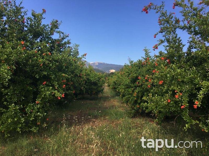 Antalya Kaş'ta 1.991 m2 Tarla