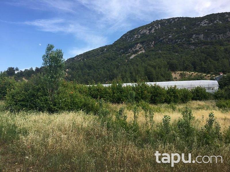 Antalya Kaş'ta 1.991 m2 Tarla