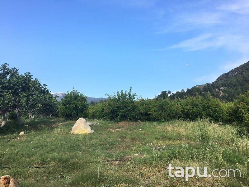 Antalya Kaş'ta 1.991 m2 Tarla