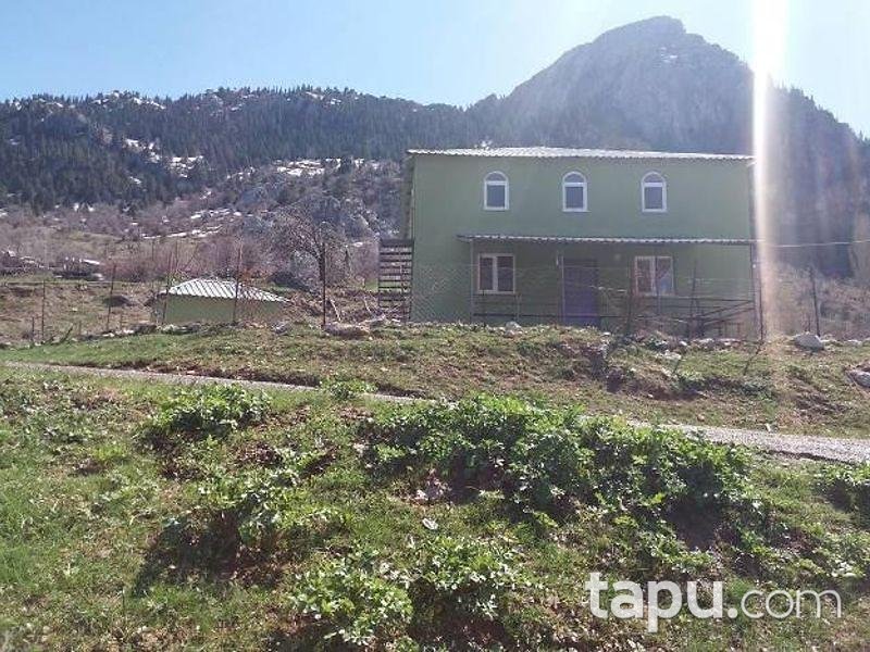 Antalya Alanya'da 6407 m2 Tarla