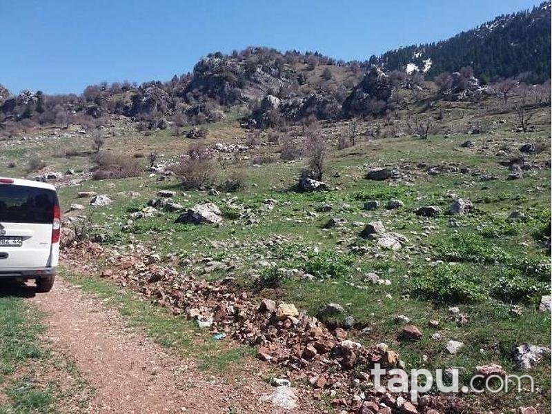 Antalya Alanya'da 6407 m2 Tarla