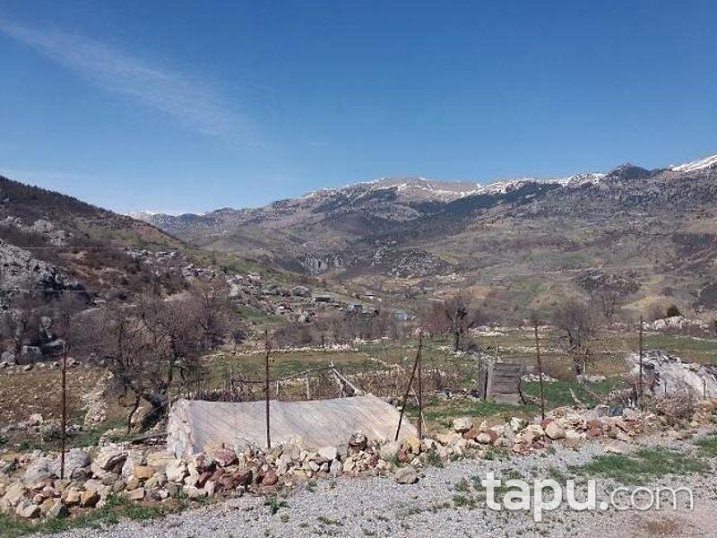 Antalya Alanya'da 6407 m2 Tarla