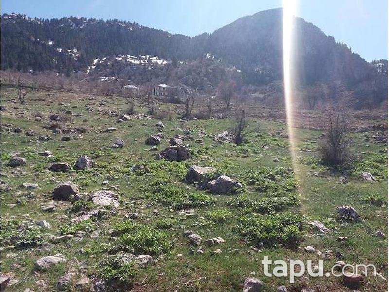 Antalya Alanya'da 6407 m2 Tarla