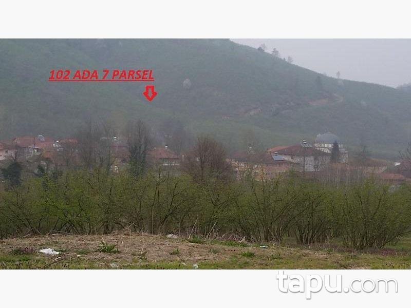 Düzce Akçakoca Dereköy'de 6992 m2 Fındık Bahçesi