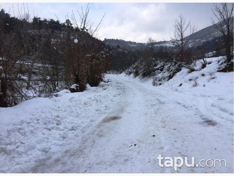 Bolu Mudurnu Karapınarkavağı Köyü'nde 5352 m2 Tarla