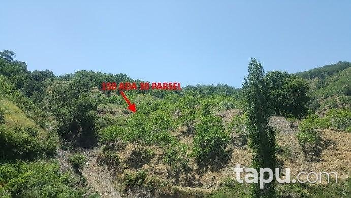 Aydın Nazilli'de 10217 m2 Tarla