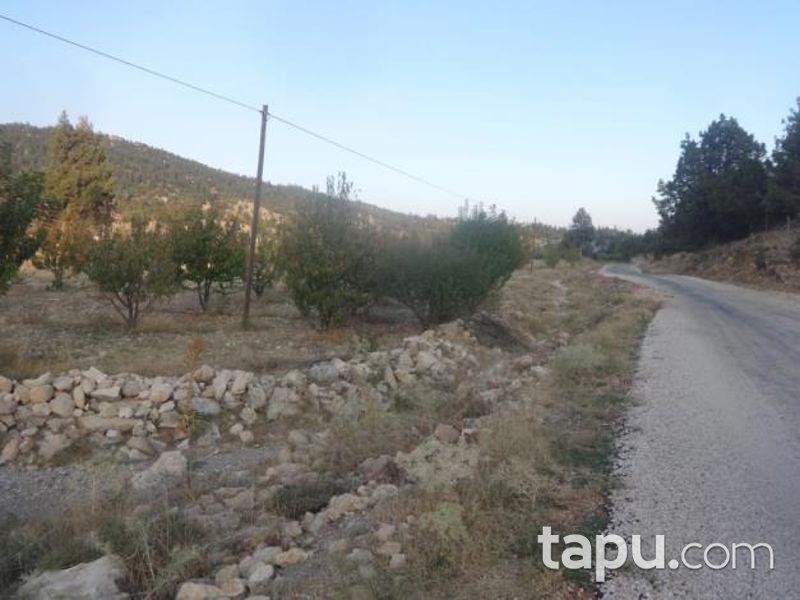 Mersin Bozyazı Elmakuzu Köyü'nde 4339 m2 Tarla