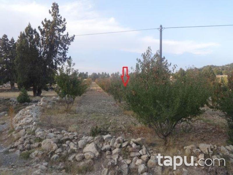 Mersin Bozyazı Elmakuzu Köyü'nde 4339 m2 Tarla