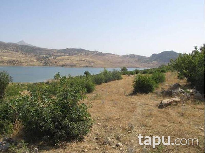 Şanlıurfa Siverek'te 9900 m2 Tarla