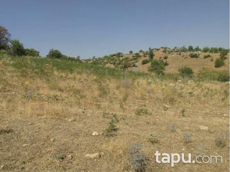 Şanlıurfa Siverek'te 9900 m2 Tarla