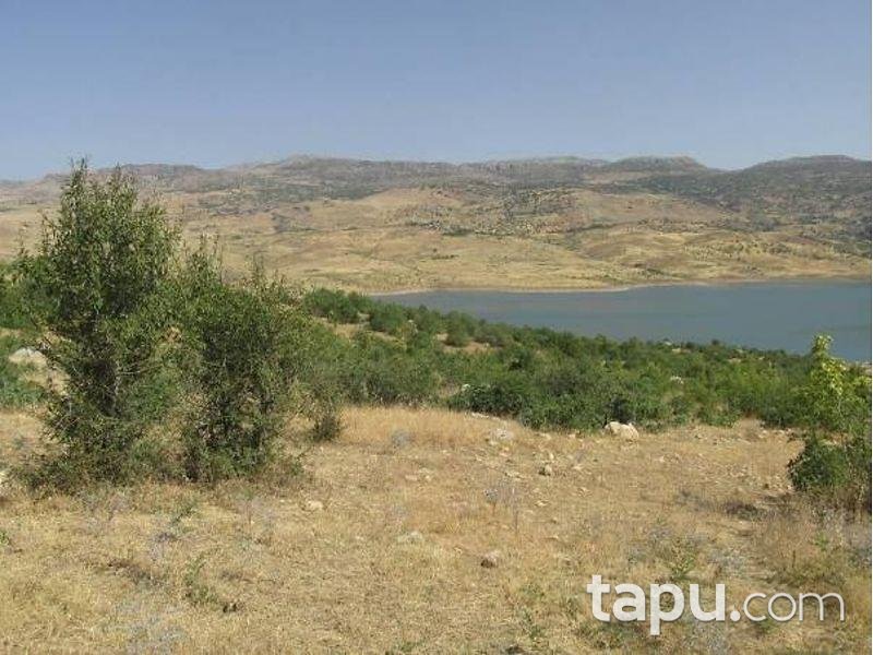 Şanlıurfa Siverek'te 9900 m2 Tarla