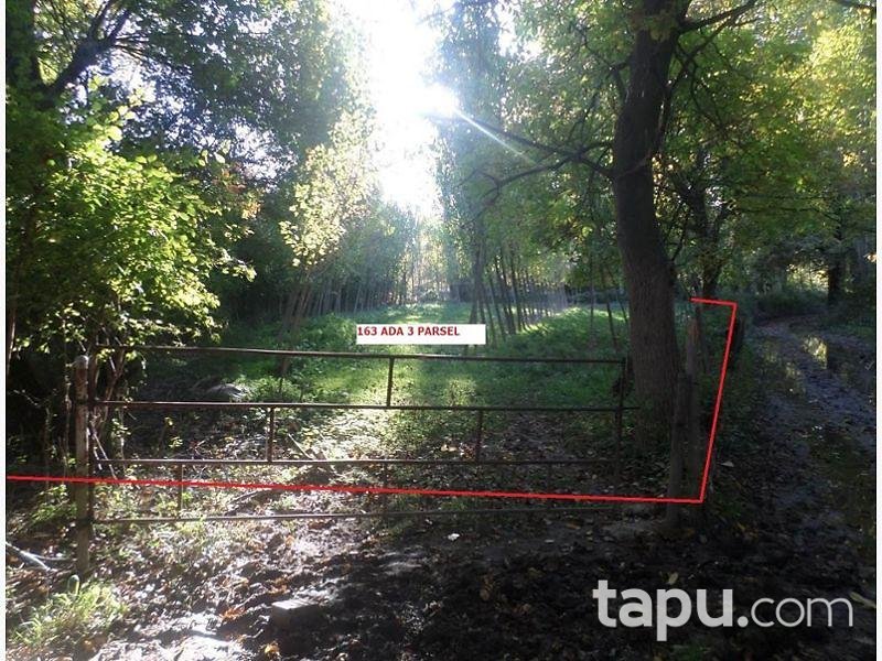 Kastamonu Taşköprü'de 8.550 m2 4 Adet Tarla