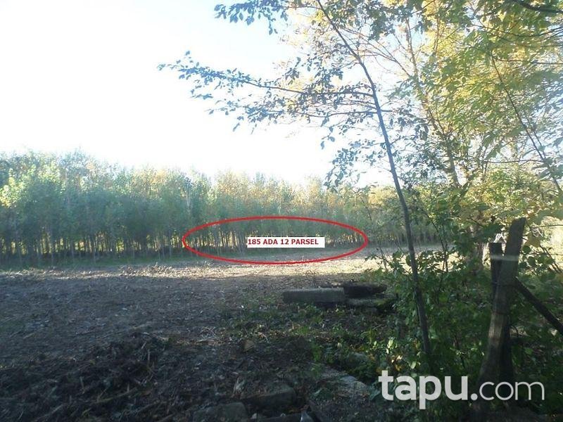 Kastamonu Taşköprü'de 8.550 m2 4 Adet Tarla