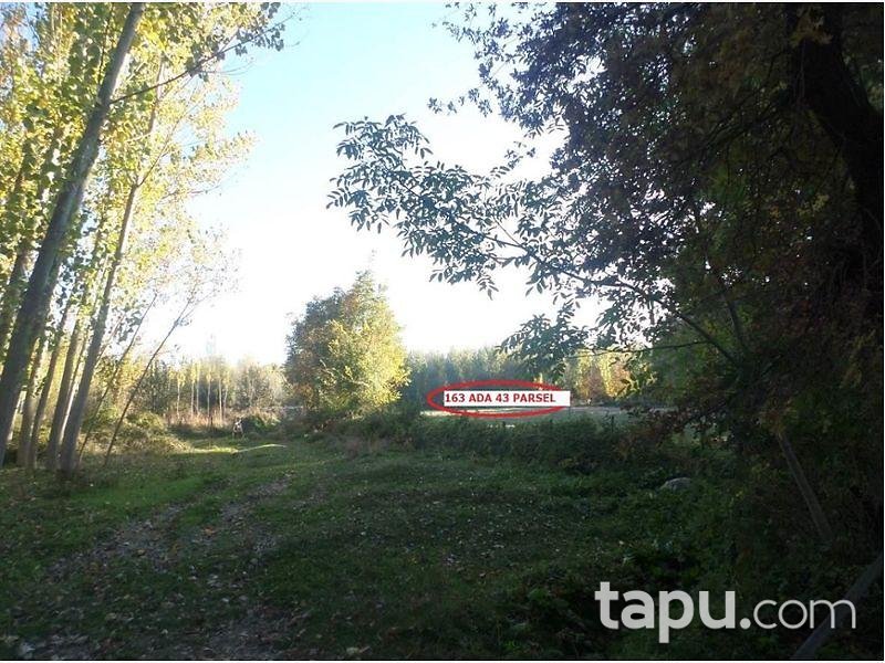 Kastamonu Taşköprü'de 8.550 m2 4 Adet Tarla