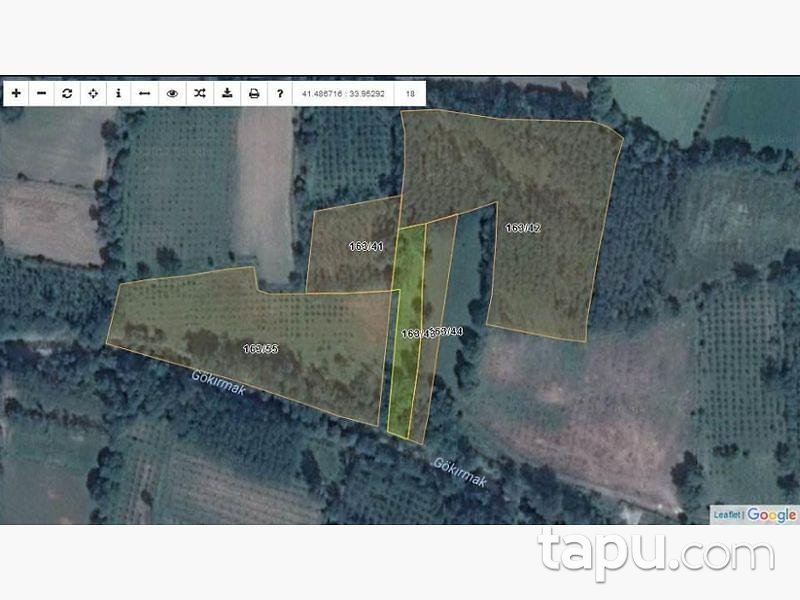 Kastamonu Taşköprü'de 8.550 m2 4 Adet Tarla