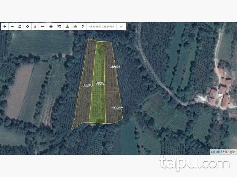 Kastamonu Taşköprü'de 8.550 m2 4 Adet Tarla