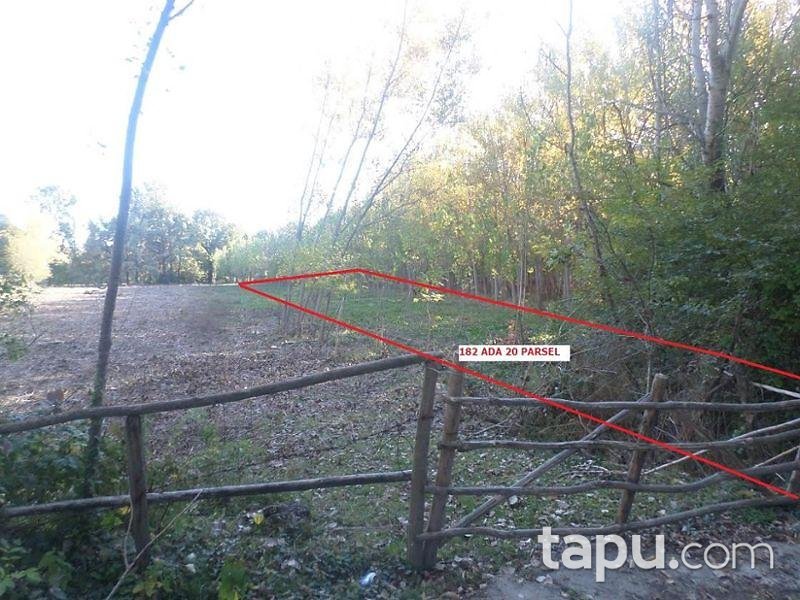 Kastamonu Taşköprü'de 8.550 m2 4 Adet Tarla