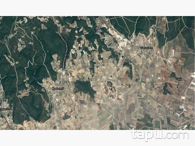 Manisa Saruhanlı'da 5500m2 Zeytinlik