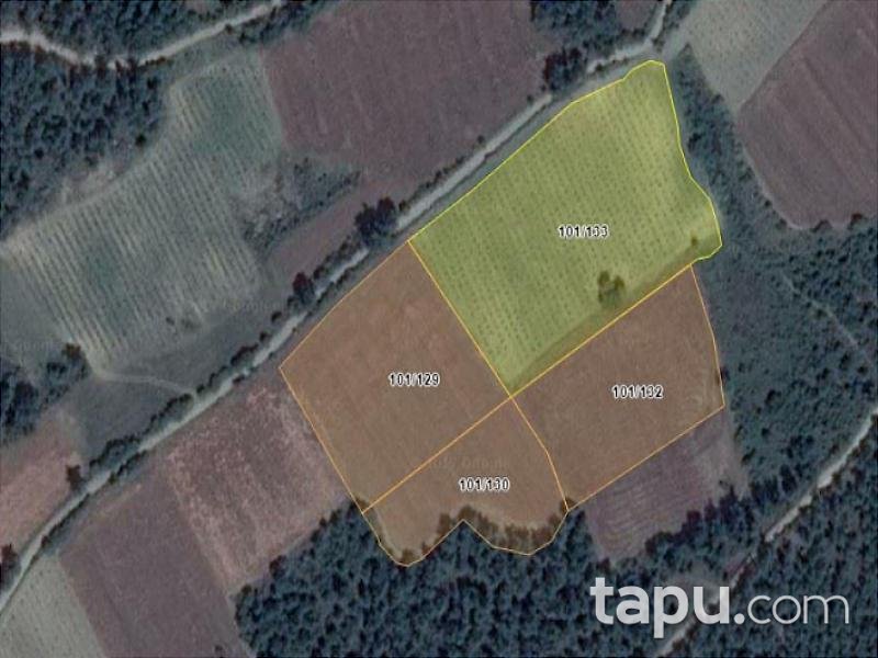 Sakarya Geyve'de 9.273 m2 Tarla