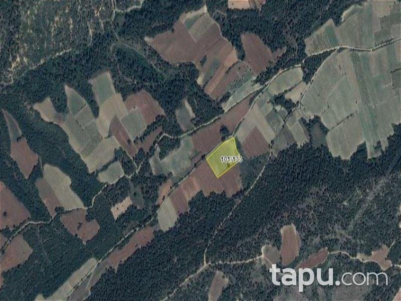 Sakarya Geyve'de 9.273 m2 Tarla