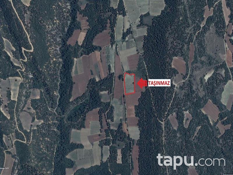 Sakarya Geyve'de 9.273 m2 Tarla