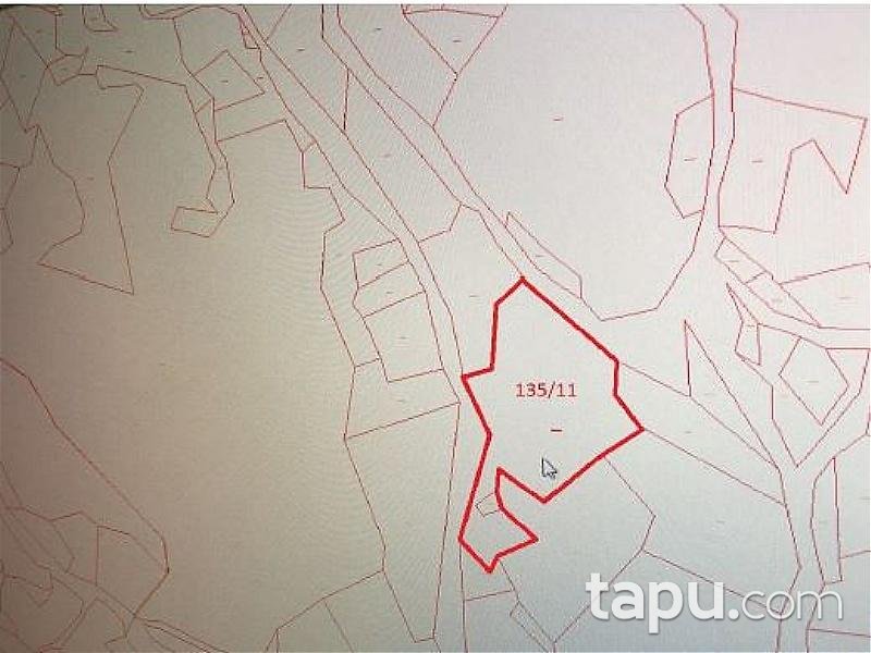 Antalya Elmalı'da 56.215 m2 Tarla