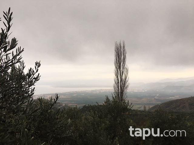 İznik Çampınar Köyünde Müstakil Ev