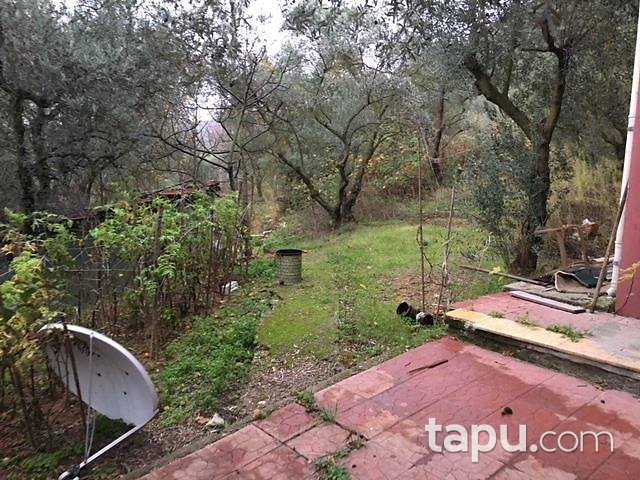 İznik Çampınar Köyünde Müstakil Ev