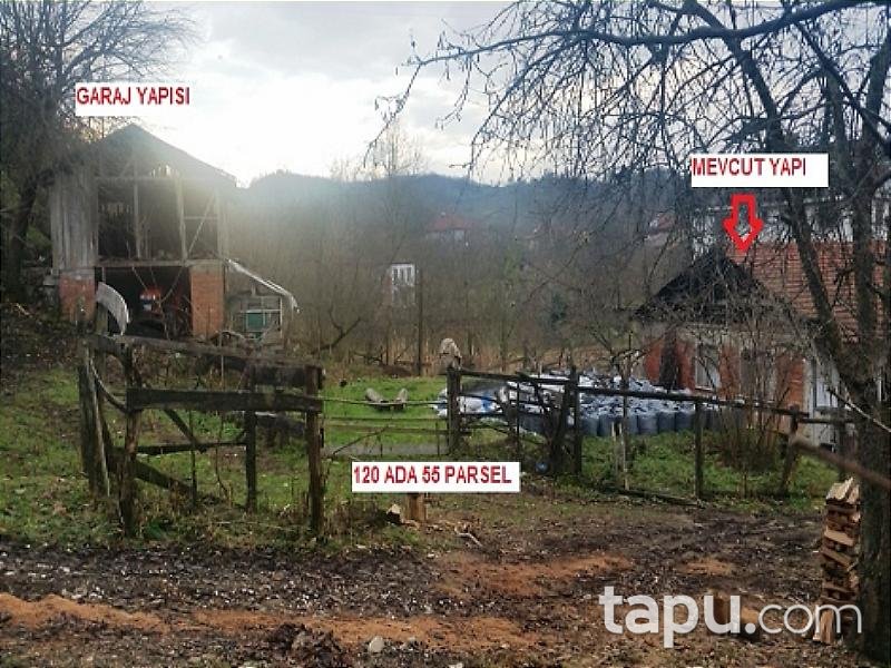 Düzce Akçakoca'da Kargir Ev ve Arsası