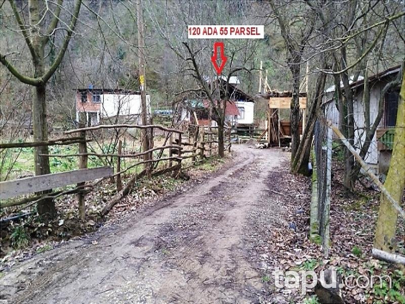 Düzce Akçakoca'da Kargir Ev ve Arsası