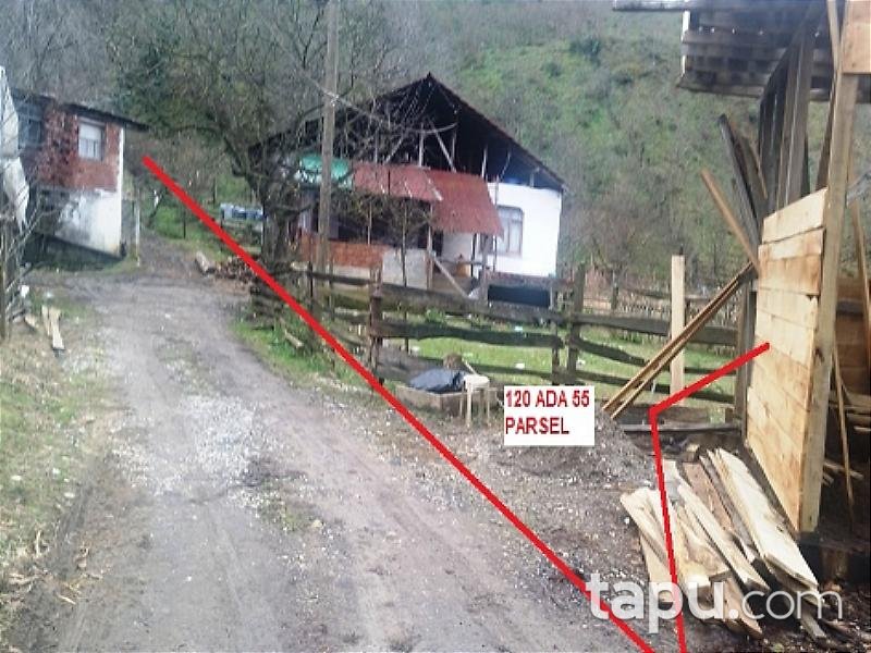 Düzce Akçakoca'da Kargir Ev ve Arsası