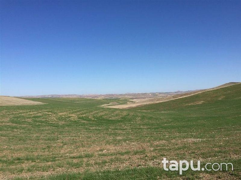 Çorum Sungurlu Derekışla'da 14700m2 Tarla