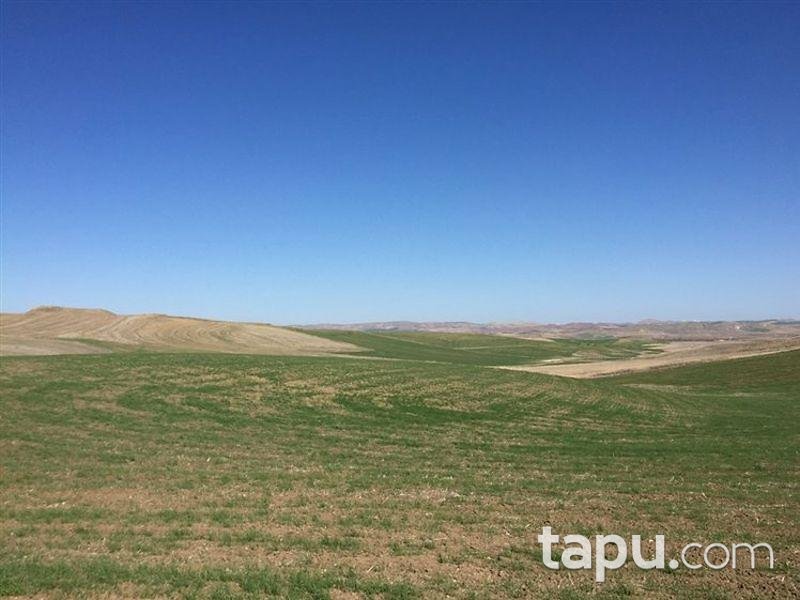 Çorum Sungurlu Derekışla'da 14700m2 Tarla