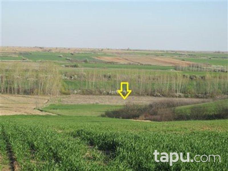Kırklareli Merkez Kavaklı'da 10450 m2 Tarla