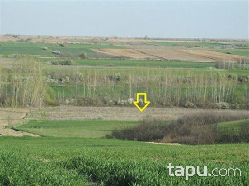 Kırklareli Merkez Kavaklı'da 10450 m2 Tarla