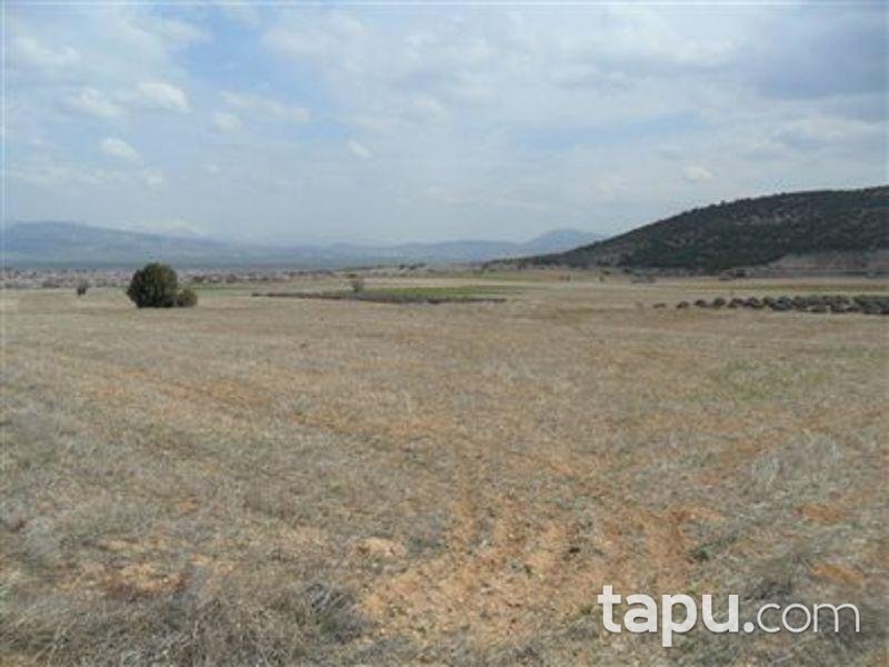 Isparta Keçiborlu Kılıç Köyü'nde 4350 m2 Tarla