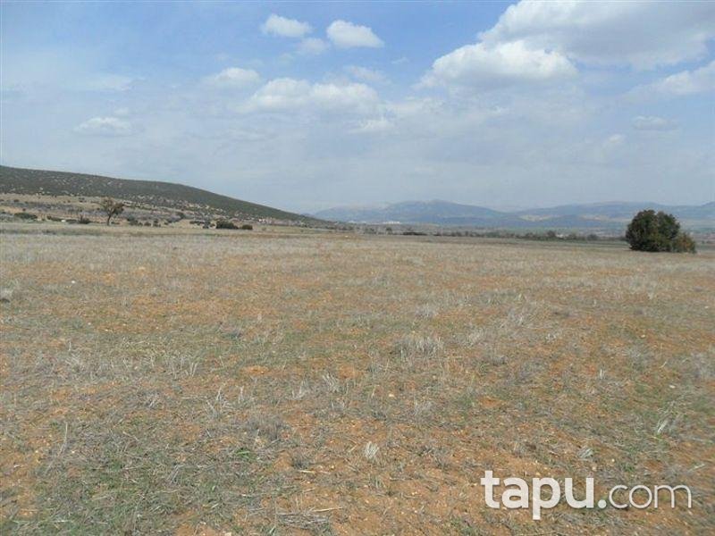 Isparta Keçiborlu Kılıç Köyü'nde 4350 m2 Tarla
