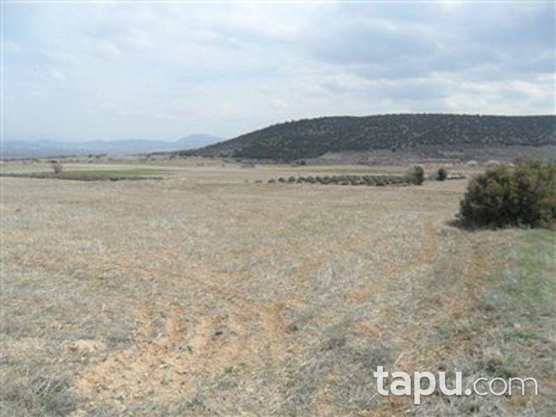 Isparta Keçiborlu Kılıç Köyü'nde 4350 m2 Tarla