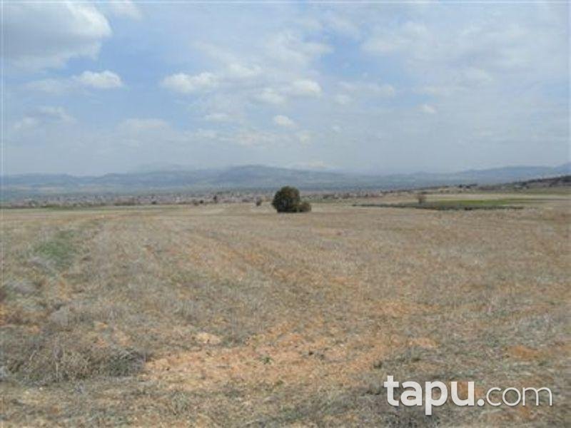 Isparta Keçiborlu Kılıç Köyü'nde 4350 m2 Tarla