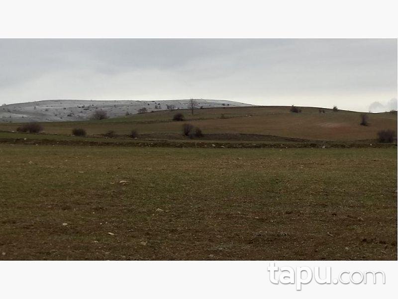 Afyonkarahisar Merkez Işıklar Köyünde 18.400 m² Tarla