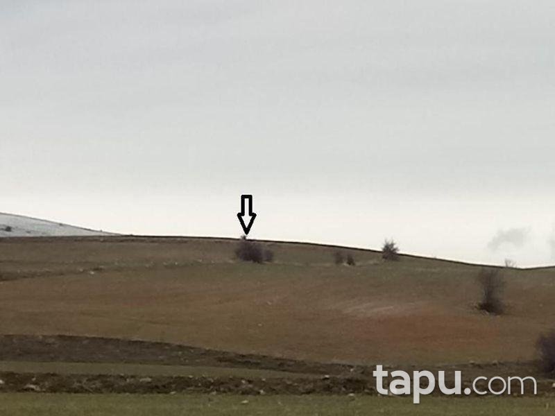 Afyonkarahisar Merkez Işıklar Köyünde 18.400 m² Tarla