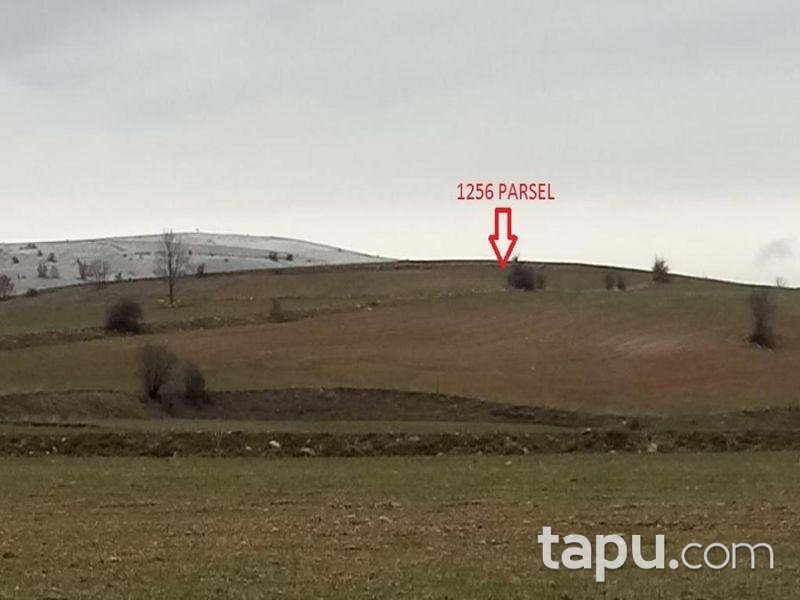 Afyonkarahisar Merkez Işıklar Köyünde 18.400 m² Tarla