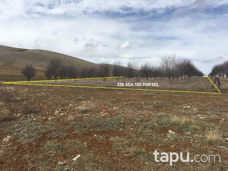 Afyonkarahisar Sultandağı Üçkuyu Köyünde 10.177 m2 Bahçe