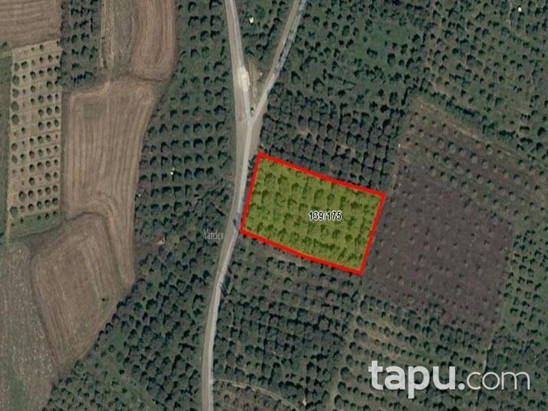 Afyonkarahisar Sultandağı Yakasenek'te 3824m2 Bahçe