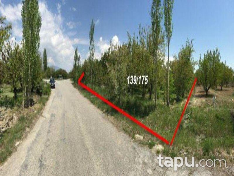 Afyonkarahisar Sultandağı Yakasenek'te 3824m2 Bahçe