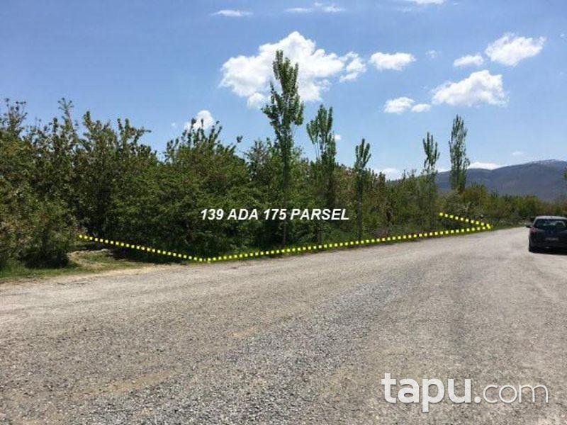 Afyonkarahisar Sultandağı Yakasenek'te 3824m2 Bahçe