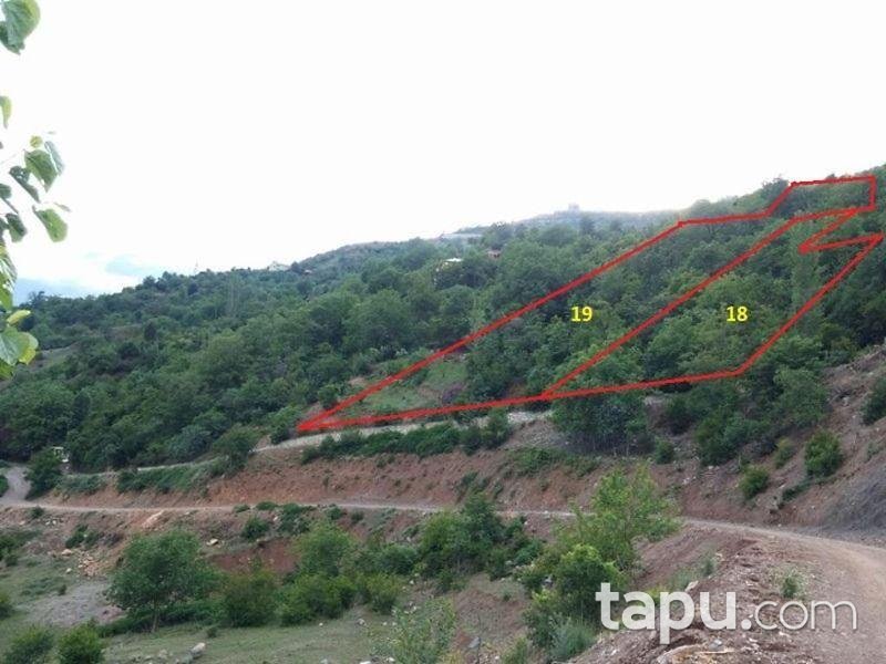 Artvin Merkez Salkımlı Köyünde 2375 M2 Bahçe